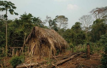 Последний представитель одного из бразильских племен живет отшельником